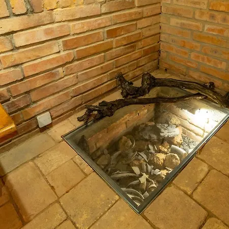 U Stařenky Dolní Bojanovice